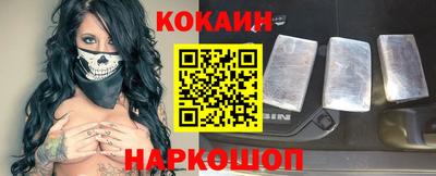 кокс Гатчина