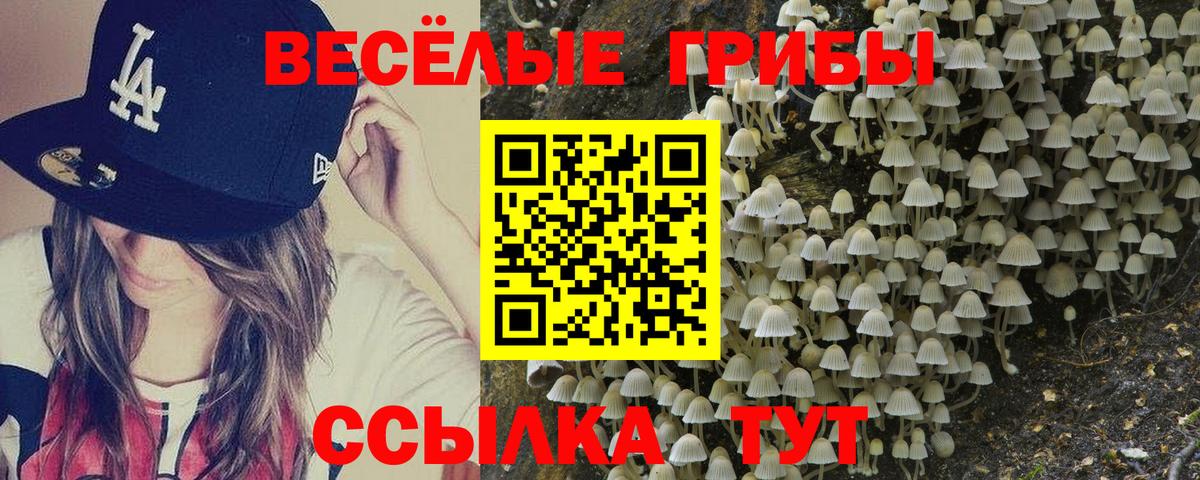 хочу наркоту  Вход с VPN  Донской  Псилоцибиновые грибы Psilocybine cubensis 