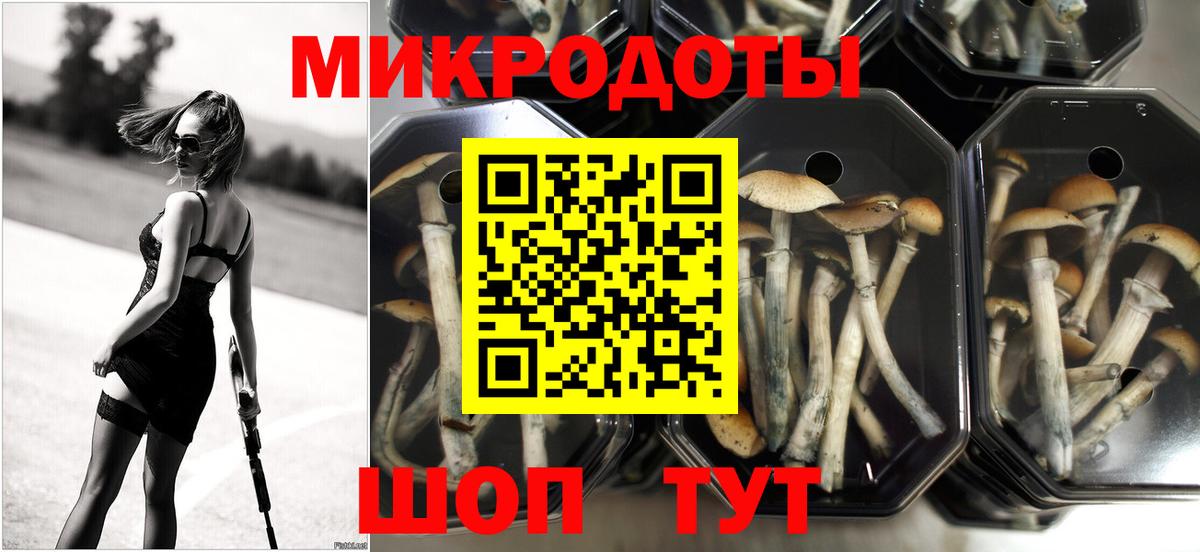 Псилоцибиновые грибы Cubensis Донской