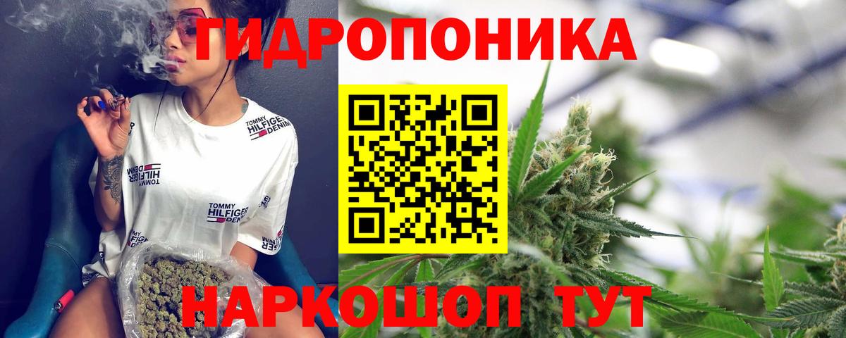 Конопля ГИДРОПОН  Вход с VPN  Бошки Шишки ГИДРОПОН  Донской 